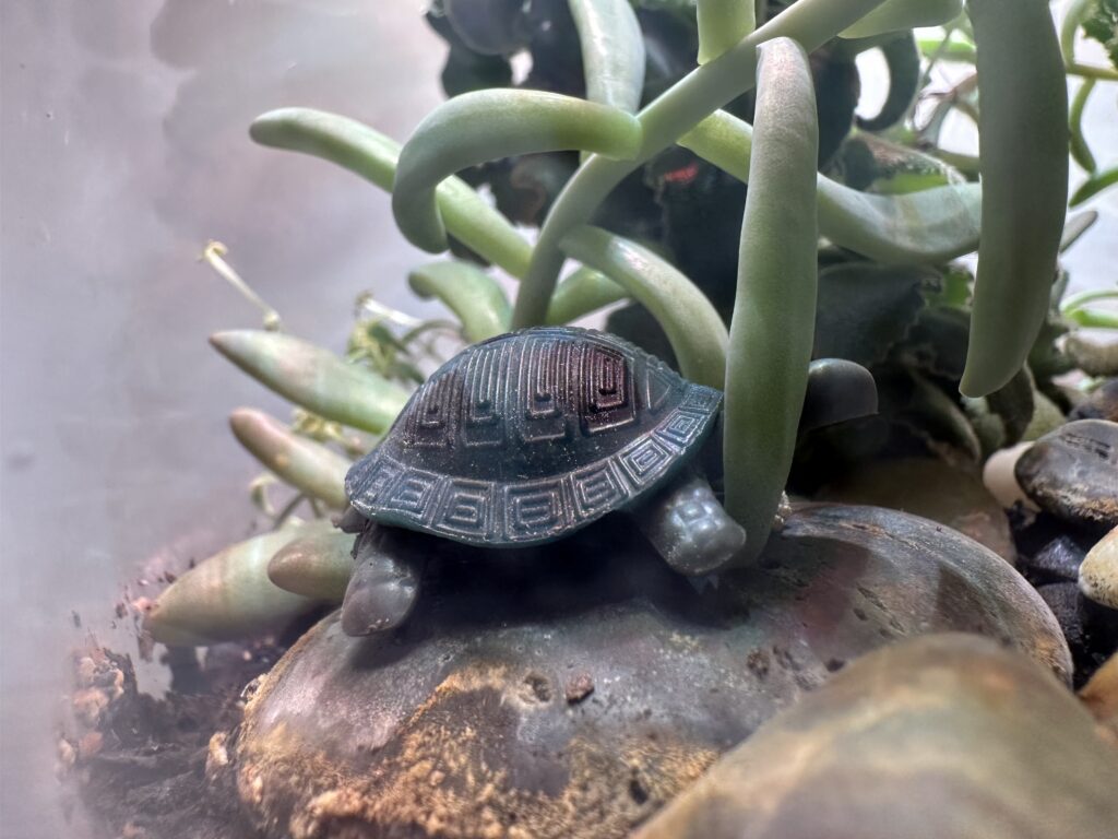 Plastic terrarium turtle sitting on a rock