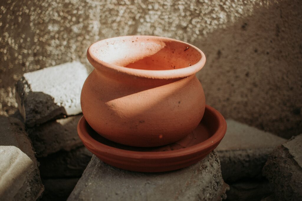 Terracotta plant pot