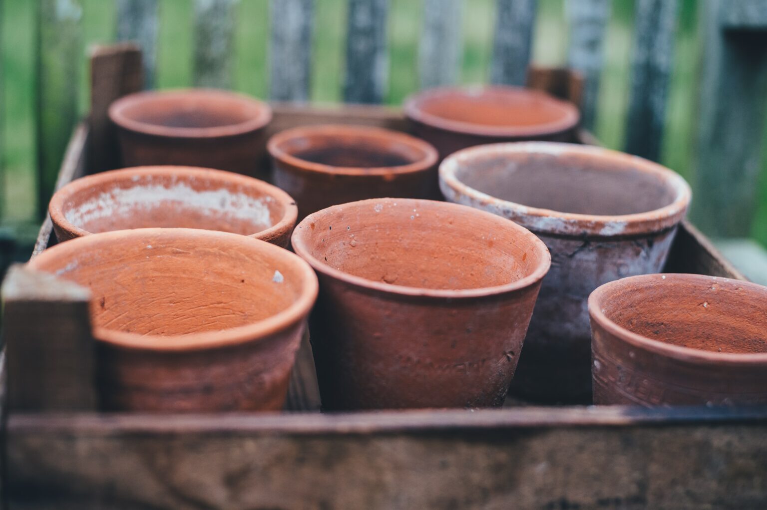 Picking The Right Size Pot For Plants Choose The Perfect Plant Pot Picking The Right Size Pot For Plants Choose The Perfect Plant Pot