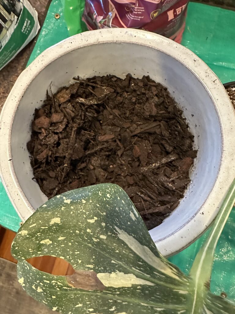 Orchid bark filled halfway up in new plant pot