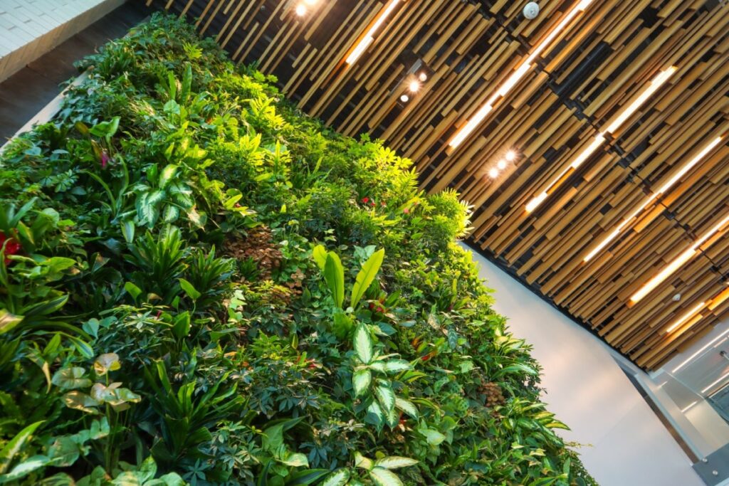 Living Plant Wall in home