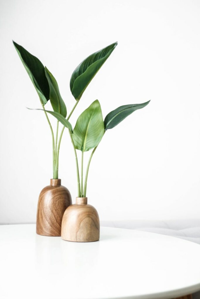 Two plants in vases on tabletop 