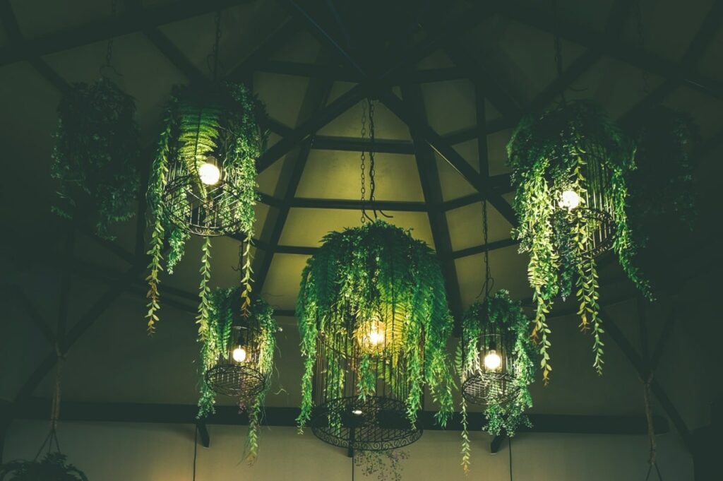 Soft glowing lanterns with hanging plants