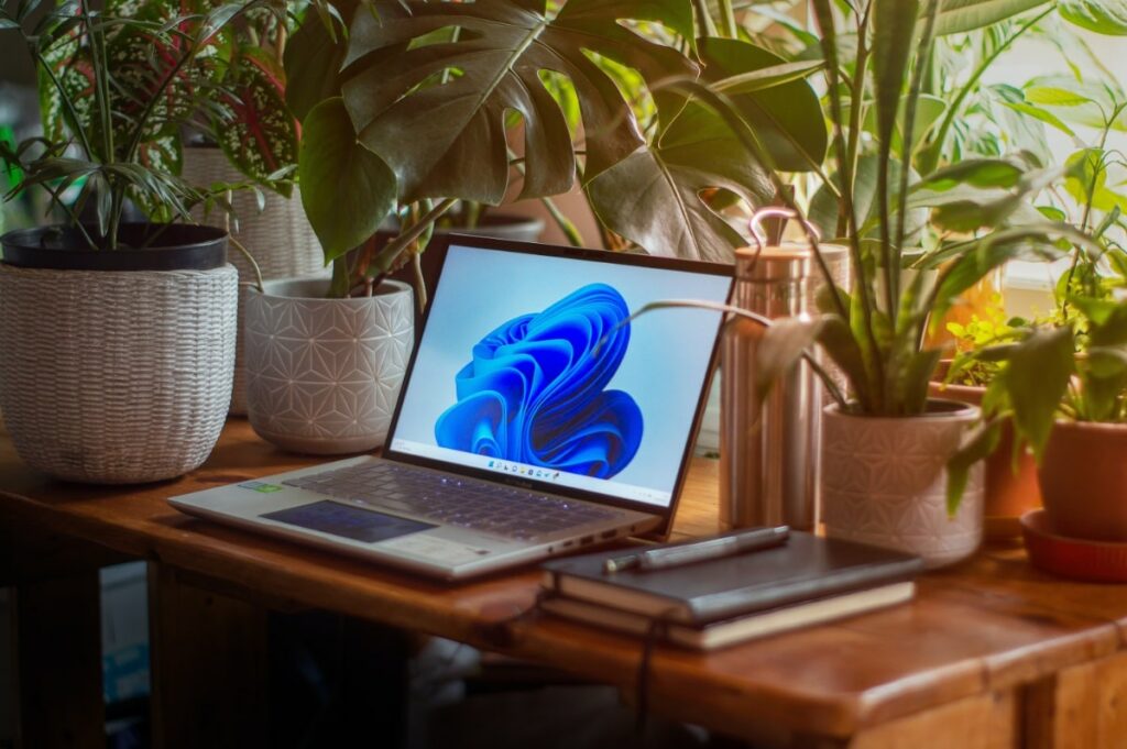 Desk with plants and laptop