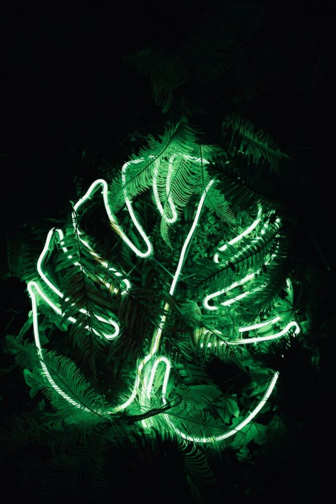 Neon monstera leaf