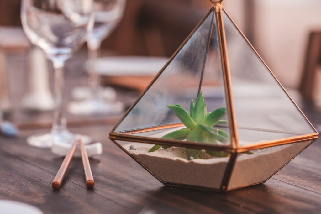 terrarium plant on dining room table