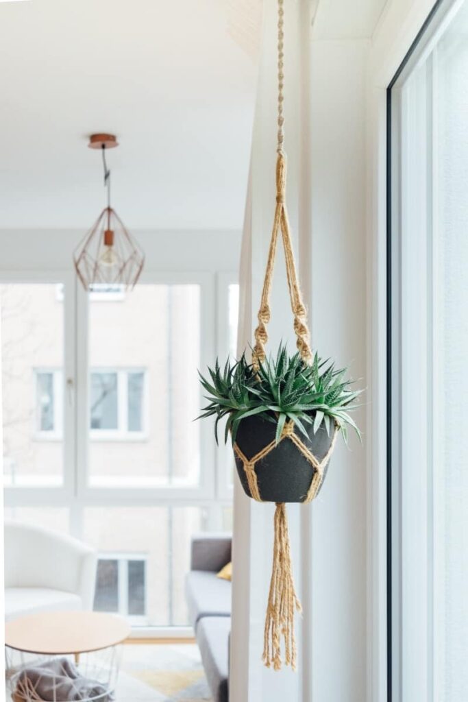 Macrame hanging plant in living room