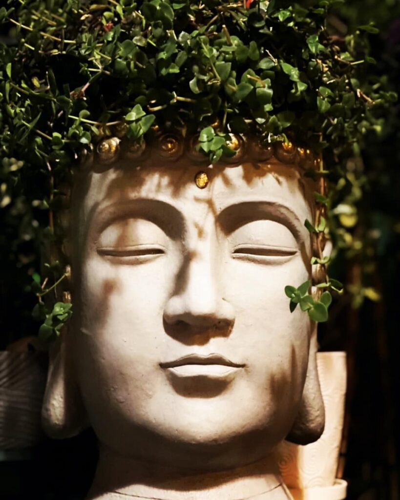 face planter with plants as hair