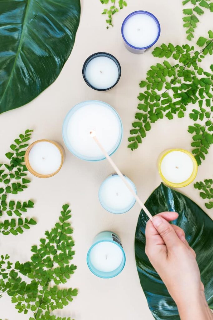 plant candle gift ideas