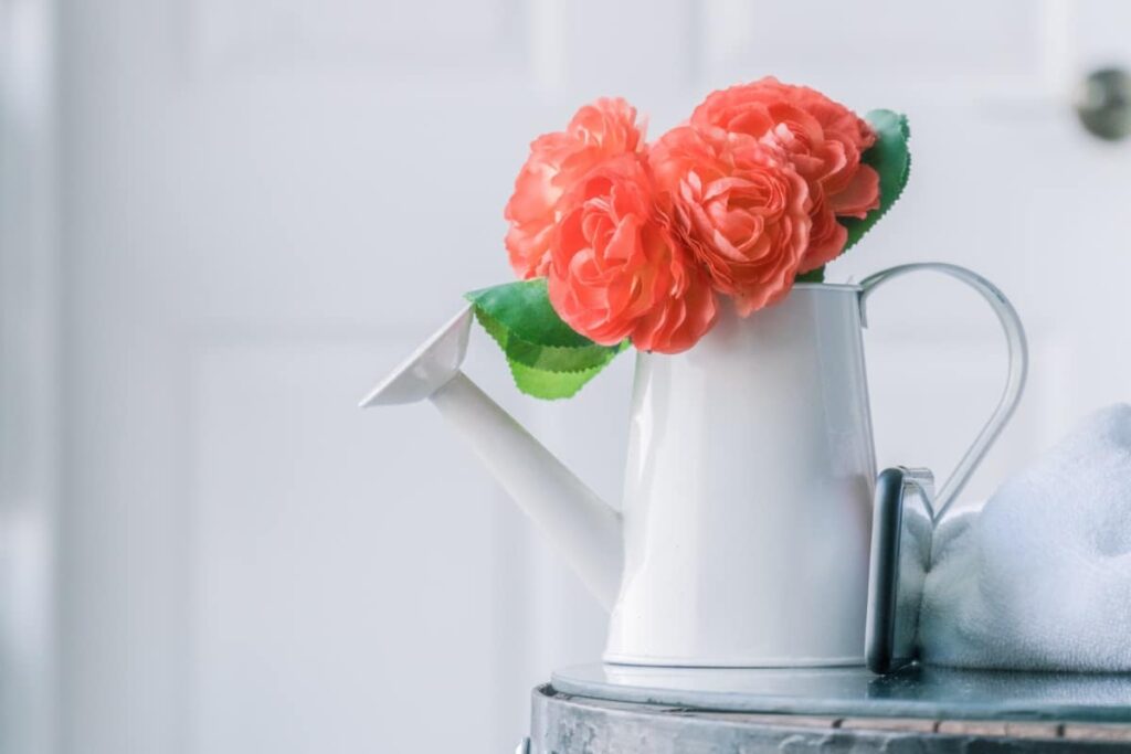 plant watering can