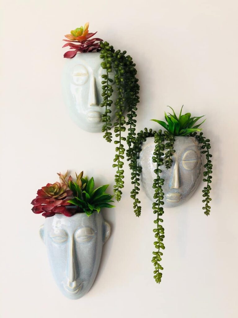 succulents in face planters